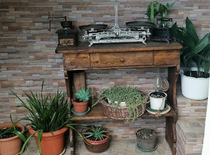 Apartament Vellico